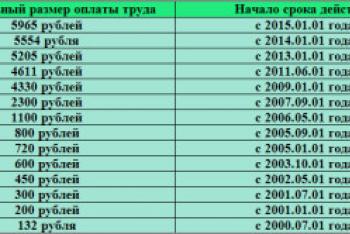 Якою має бути в Росії мінімальна заробітна плата