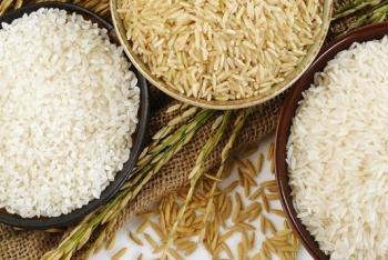 चावल भण्डारण की अवधि, परिस्थितियाँ एवं तापमान